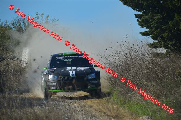 DSC_1368.JPG